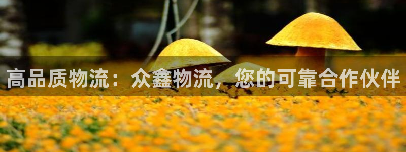 28圈起来的符号