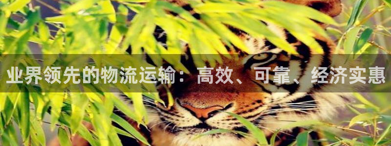 28圈.ccm官网：业界领先的物流运