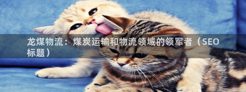 加拿大28圈是什么：龙煤物流：煤炭运