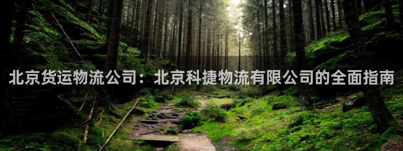 28圈退款