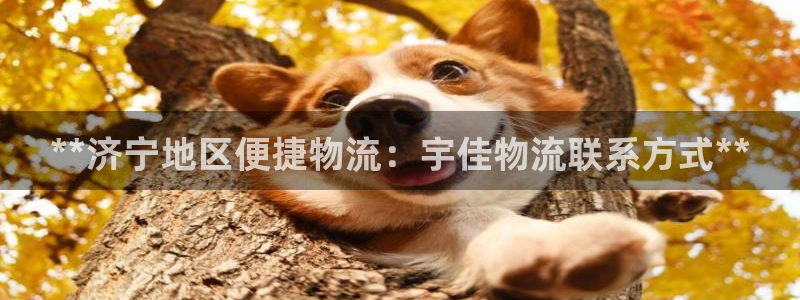 28圈加拿大怎么玩：**济宁地区便捷