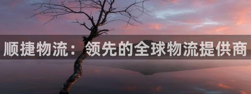 28圈注册登录：顺捷物流：领先的全球