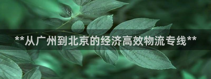 28圈登录：**从广州到北京的经济高