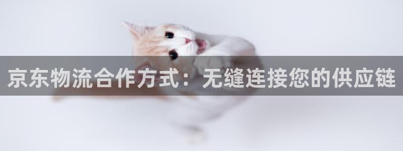 南宫28圈官网版：京东物流合作方式：