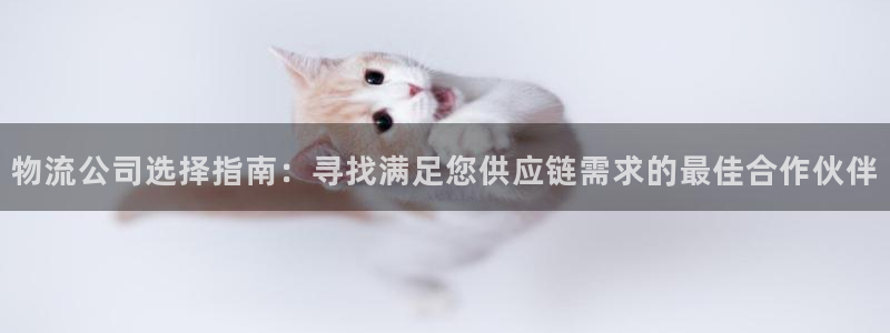 28圈推广链接是多少：物流公司选择指