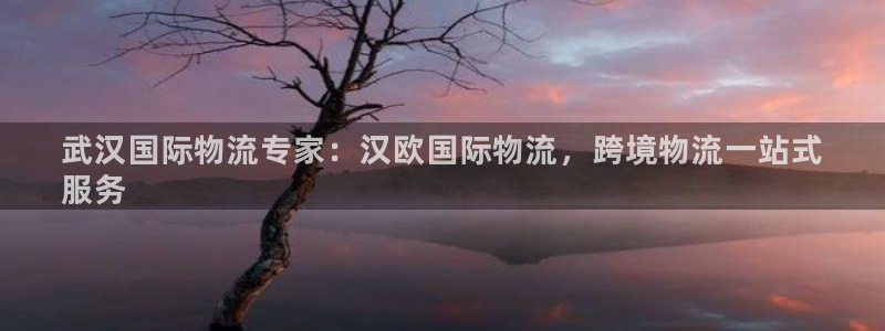 28圈怎么注册：武汉国际物流专家：汉