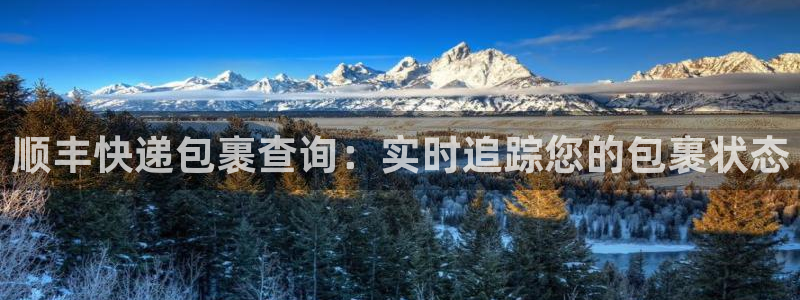 28圈能不能退：顺丰快递包裹查询：实