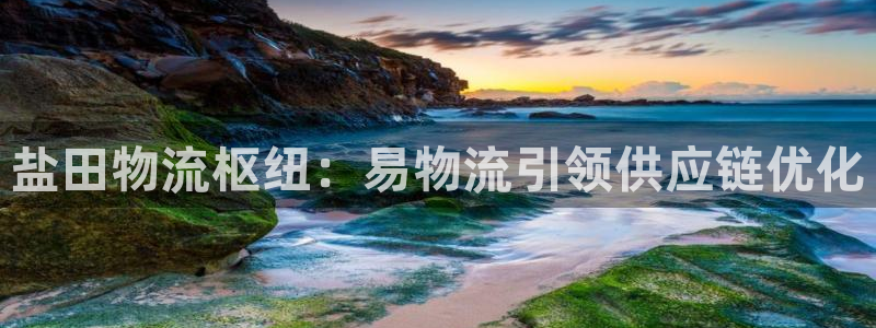 28圈游戏官网平台：盐田物流枢纽：易