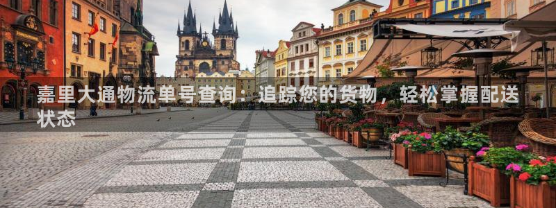 28圈犯法吗：嘉里大通物流单号查询：