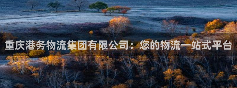 28圈预测：重庆港务物流集团有限公司
