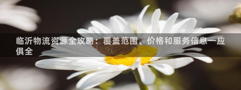28圈哪个最赚钱：临沂物流资源全攻略