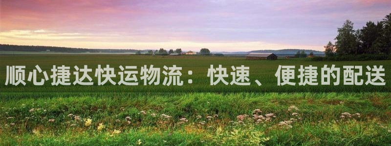 28圈怎么注册游戏名字：顺心捷达快运