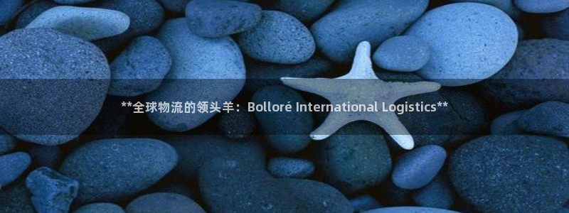 28圈官网平台