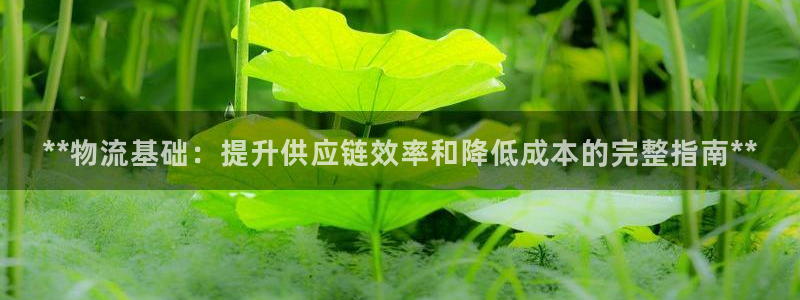 28圈绿骨头：**物流基础：提升供应