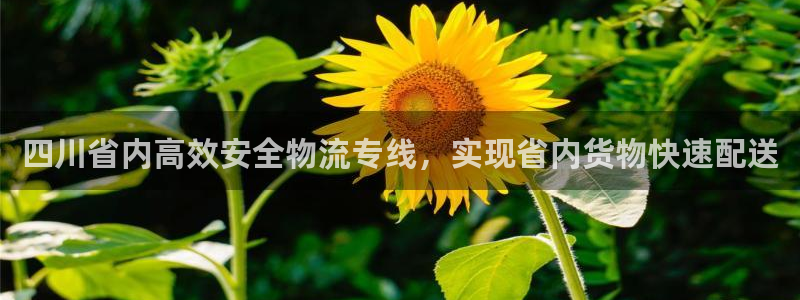 28圈口：四川省内高效安全物流专线，