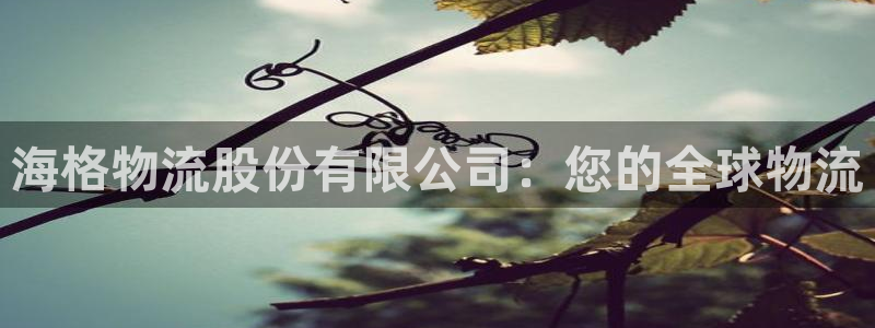 28圈.ccm：海格物流股份有限公司