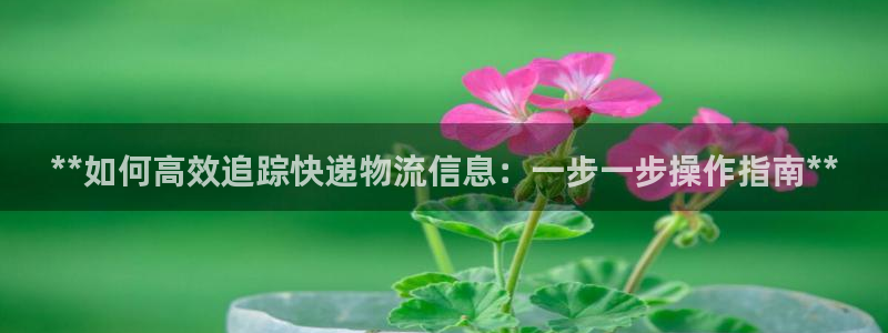 28圈加拿大是什么：**如何高效追踪