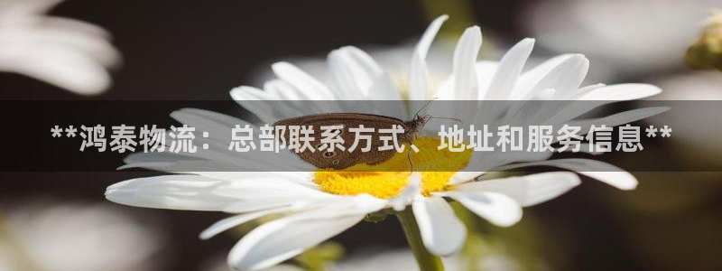 28圈能提现吗：**鸿泰物流：总部联