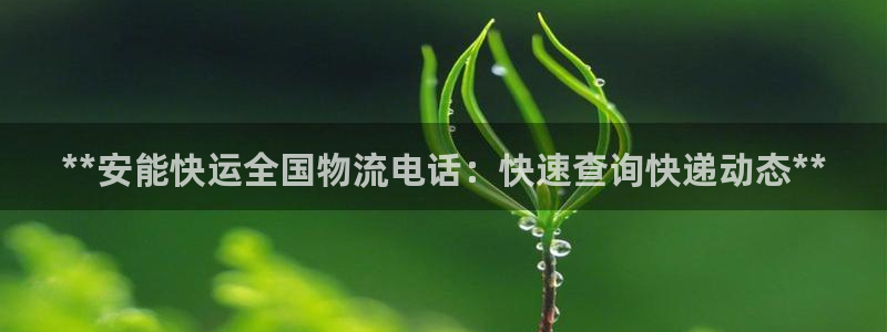 28圈加拿大：**安能快运全国物流电