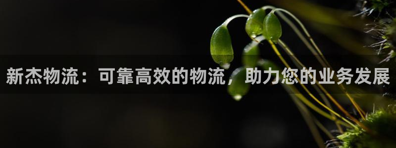 28圈网赌案件：新杰物流：可靠高效的