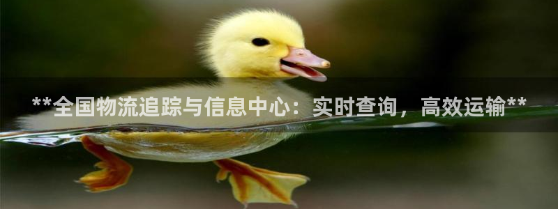 28圈能提现吗：**全国物流追踪与信