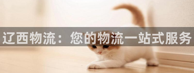 28圈麻将胡了爆分视频
