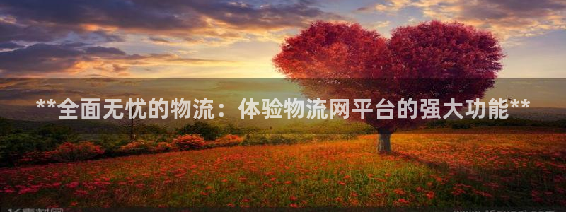 28圈怎么注册下载：**全面无忧的物