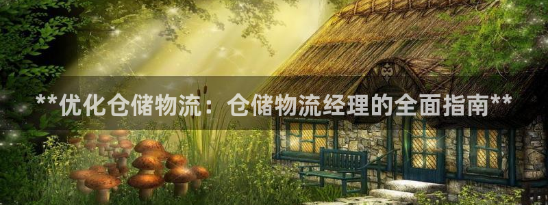 28圈怎么下载：**优化仓储物流：仓