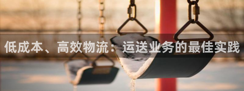 28圈加拿大28