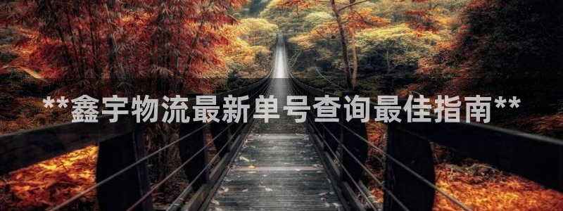 pc28圈怎么注册：**鑫宇物流最新