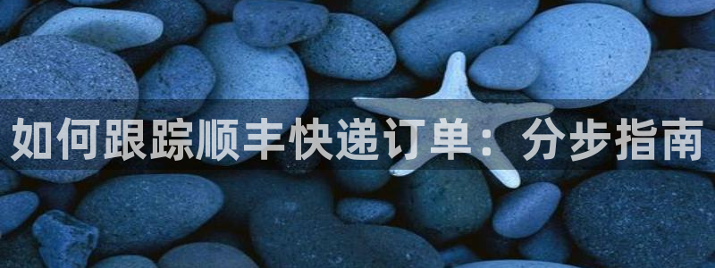 28圈官方官网：如何跟踪顺丰快递订单