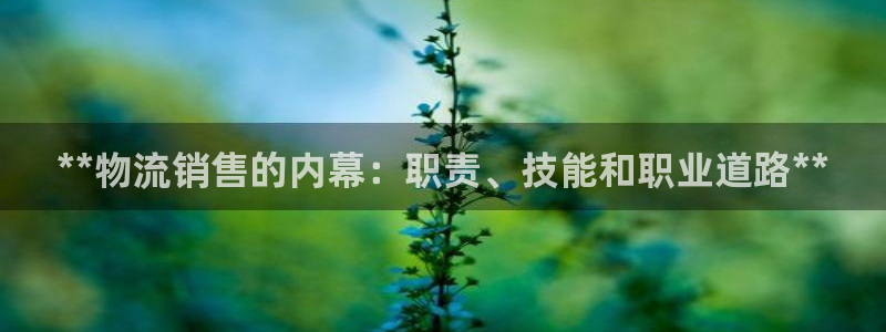 28圈注册网站链接：**物流销售的内