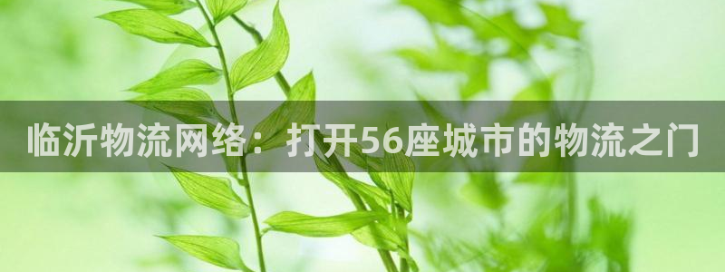 28圈登录不上咋回事：临沂物流网络：