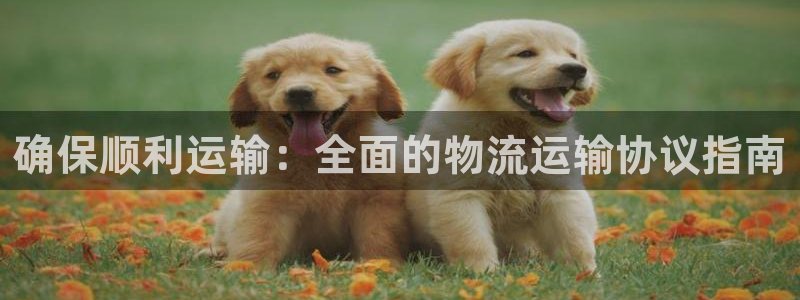 28圈注册问一问：确保顺利运输：全面