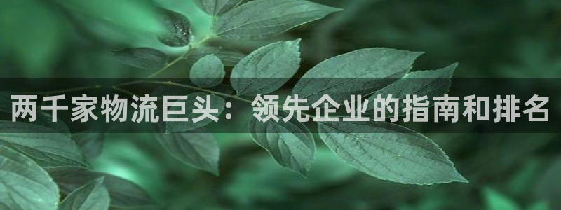 28圈v6能卖多少：两千家物流巨头：