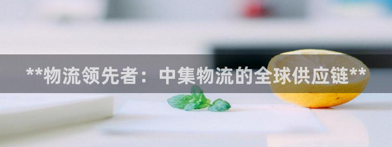 28圈为什么打不开：**物流领先者：