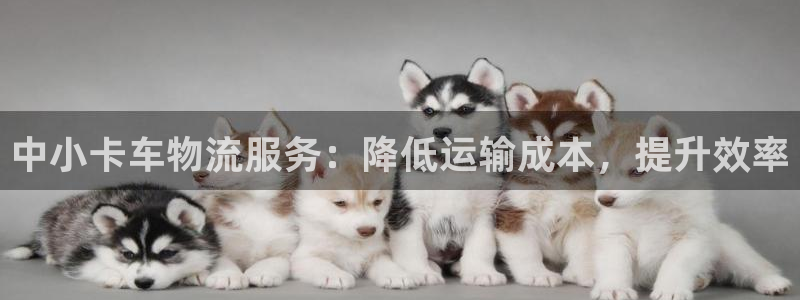 南宫28圈怎么注册：中小卡车物流服务