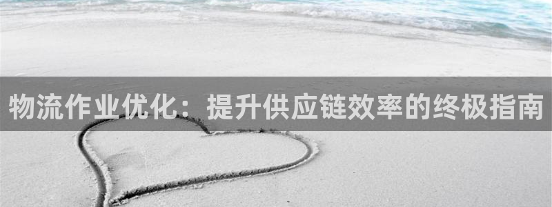 28圈注册网站APP：物流作业优化：