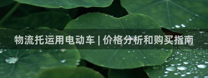 28圈注册网站多少钱一个：物流托运用