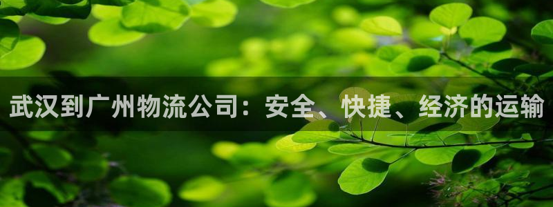 28圈登陆网：武汉到广州物流公司：安
