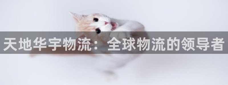 28圈二维码：天地华宇物流：全球物流