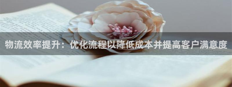 28圈激活码：物流效率提升：优化流程