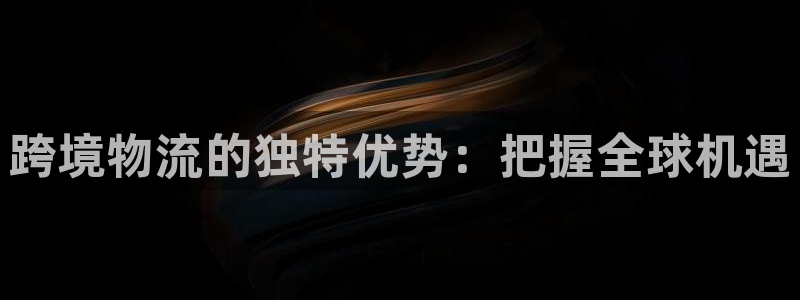 28圈代理落网：跨境物流的独特优势：