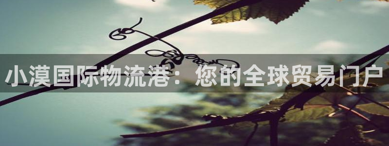 28圈加拿大是什么