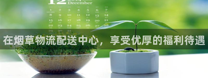 28圈口戒指是多大：在烟草物流配送中