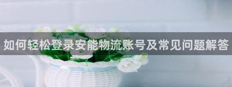 28圈加拿大技巧：如何轻松登录安能物