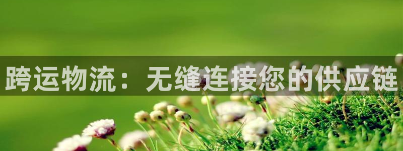 28圈游戏最新版：跨运物流：无缝连接