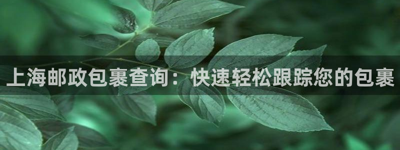 28圈模拟器下载