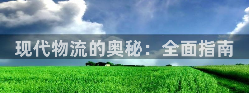 28圈登录网：现代物流的奥秘：全面指