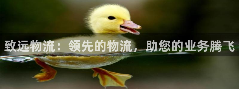 28圈麻将胡了：致远物流：领先的物流